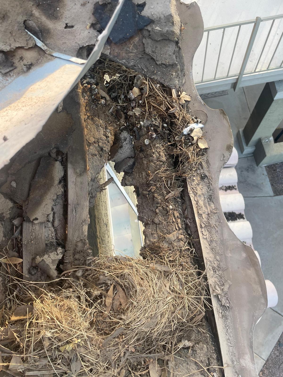 Roof Repairs